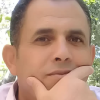 بوتين .. الذئب لا يهرول عبثاً